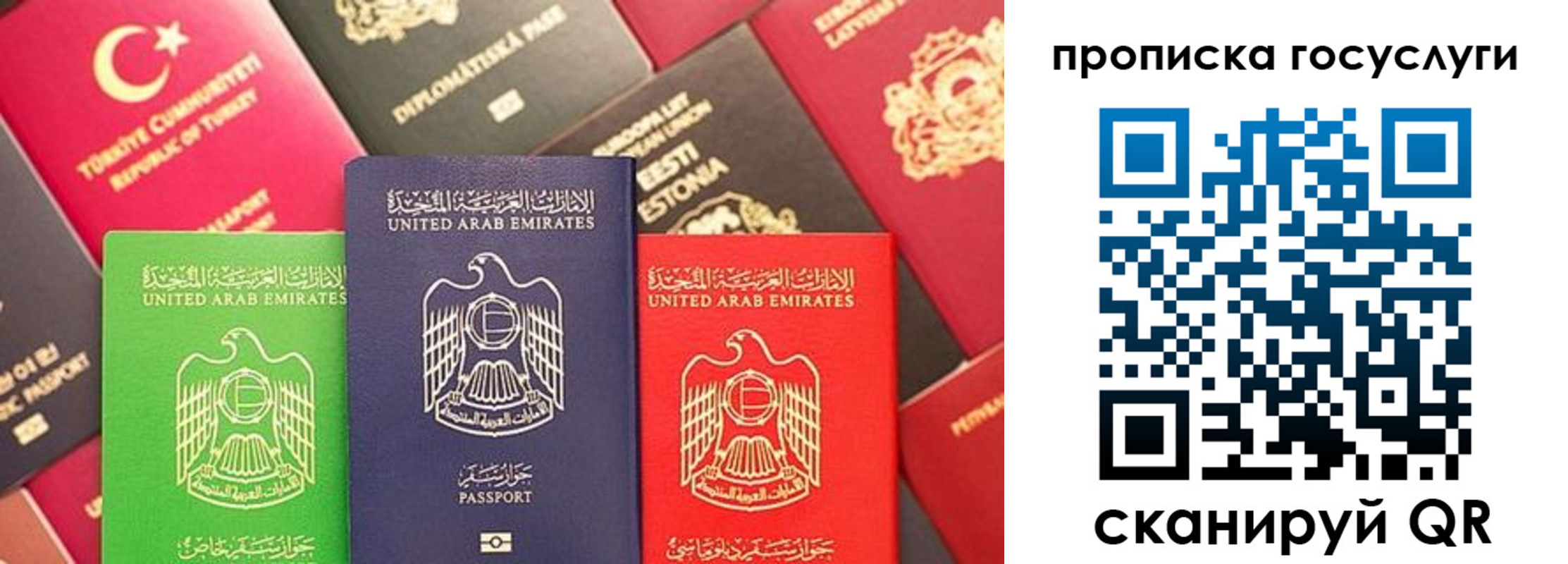 временная регистрация надежно в Муроме